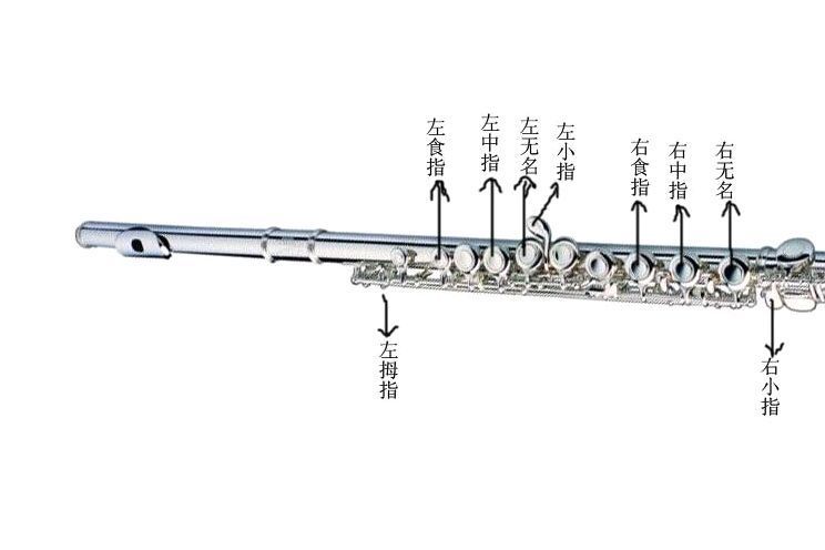 长笛初学入门指法表 长笛与短笛有哪些区别-1