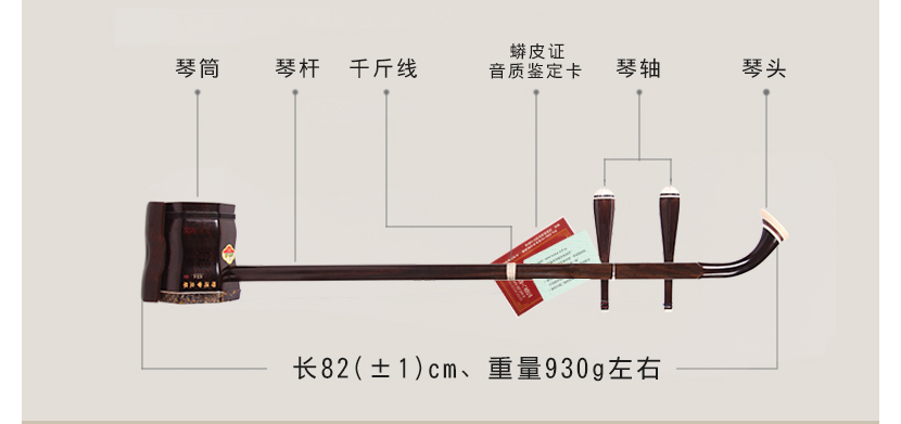 二胡好学吗？初学二胡从何练起