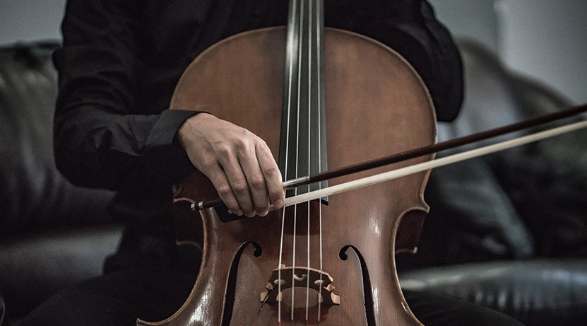 大提琴知识攻略大全 大提琴与小提琴的区别 大提琴知识攻略大全 大提琴与小提琴的区别
