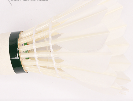 羽毛球如何选购 打羽毛球有什么好处? 羽毛球如何选购 打羽毛球有什么好处?