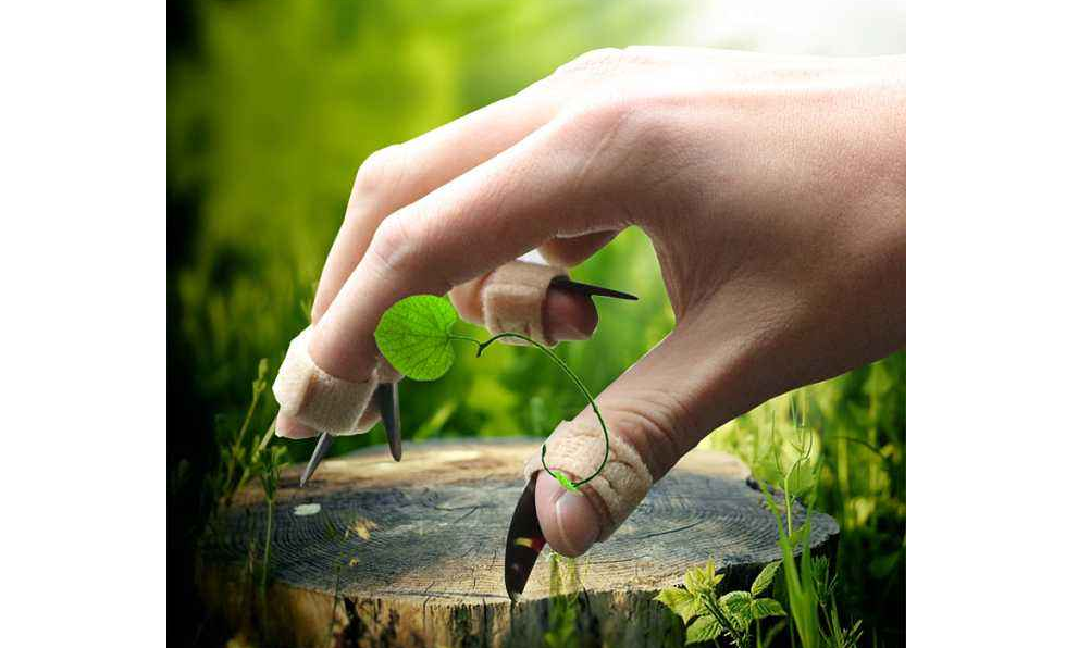 初学者该如何学习琵琶 看了这篇文章你就知道了 初学者该如何学习琵琶 看了这篇文章你就知道了