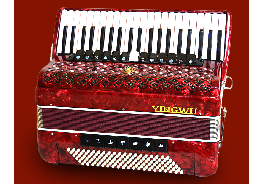 儿童几岁学手风琴最好 儿童学手风琴的好处 儿童几岁学手风琴最好 儿童学手风琴的好处