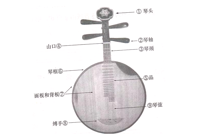 月琴与阮有什么区别 月琴应如何弹