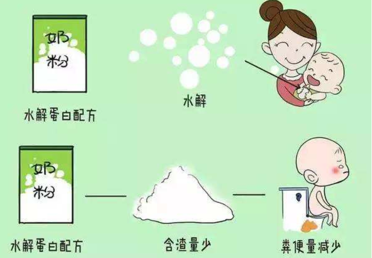 水解奶粉百科知识—你知道吗？