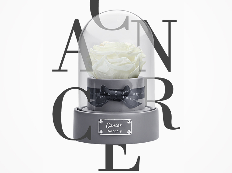 永生花就是干花吗?永生花和干花之间的区别 永生花就是干花吗?永生花和干花之间的区别