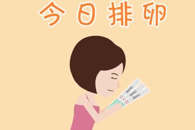 排卵试纸—夫妻备孕的小帮手-1