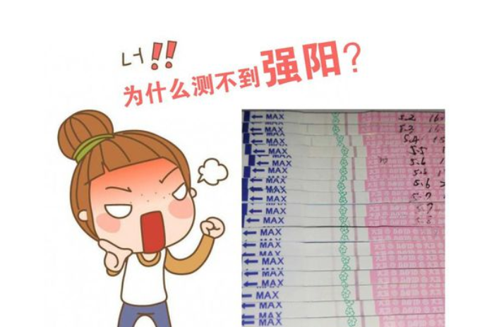 排卵试纸—夫妻备孕的小帮手