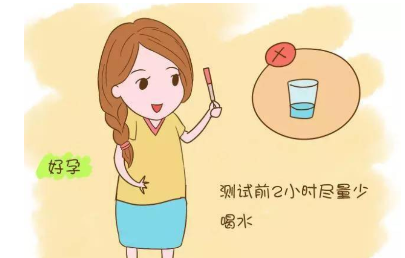 排卵试纸—夫妻备孕的小帮手