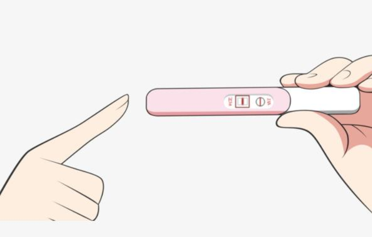 验孕棒百科知识:验孕棒怎么看 验孕棒百科知识:验孕棒怎么看