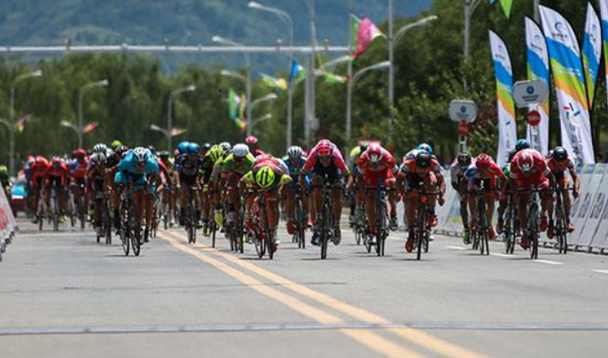 绿色出行—公路自行车知识分享 绿色出行—公路自行车知识分享