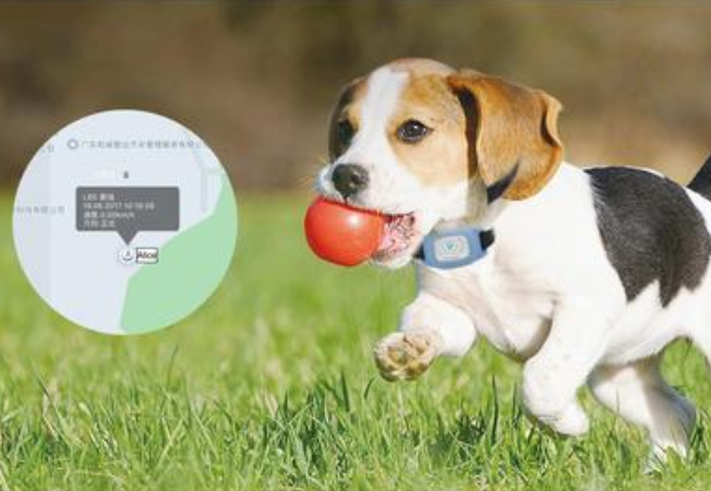 GPS定位器怎么用 GPS定位器知识全解 GPS定位器怎么用 GPS定位器知识全解