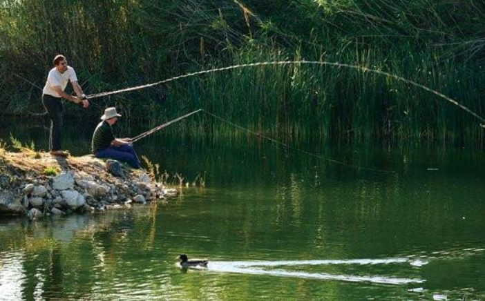 鲤鱼难钓?那是因为不知道这些鲤鱼饵料配方 鲤鱼难钓?那是因为不知道这些鲤鱼饵料配方