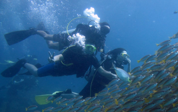 想要探索海洋?水母衣你值得拥有 想要探索海洋?水母衣你值得拥有