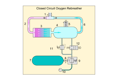 全封闭式循环呼吸器好吗 全封闭式循环呼吸器有哪些优势与劣势 全封闭式循环呼吸器好吗 全封闭式循环呼吸器有哪些优势与劣势