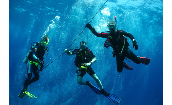 浮潜需要带什么装备?马尔代夫浮潜一定要穿水母衣吗? 浮潜需要带什么装备?马尔代夫浮潜一定要穿水母衣吗?