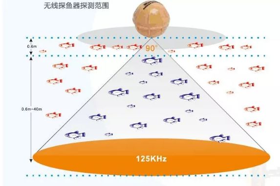 浅谈探鱼器的探测范围与深度的关系-1