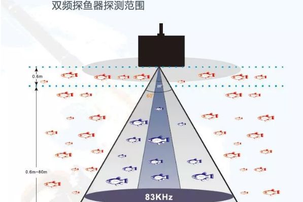 浅谈探鱼器的探测范围与深度的关系-3
