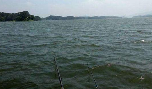 在自然水域怎么钓鲤鱼?在自然水域钓鲤鱼饵料的配方 在自然水域怎么钓鲤鱼?在自然水域钓鲤鱼饵料的配方