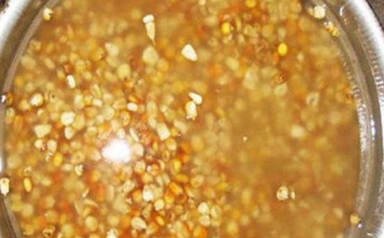 在自然水域怎么钓鲤鱼?在自然水域钓鲤鱼饵料的配方 在自然水域怎么钓鲤鱼?在自然水域钓鲤鱼饵料的配方