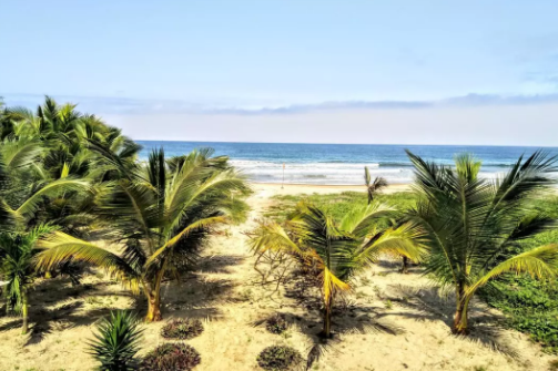 冲浪者的天堂,这几个地方你需要知道 冲浪者的天堂,这几个地方你需要知道