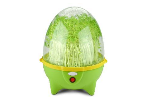 豆芽机的分类大全、常见故障维修以及日常维护小技巧 豆芽机的分类大全、常见故障维修以及日常维护小技巧