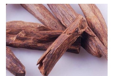 沉香是怎么行程的？沉香有哪些作用？-1