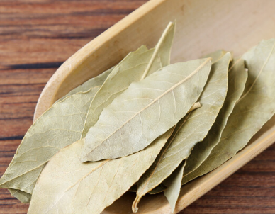 香叶有什么作用 如何挑选质量好的香叶 香叶有什么作用 如何挑选质量好的香叶