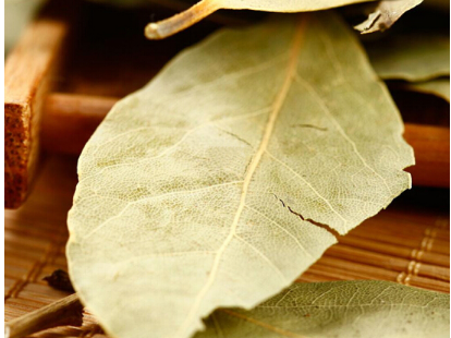 香叶有什么作用 如何挑选质量好的香叶 香叶有什么作用 如何挑选质量好的香叶