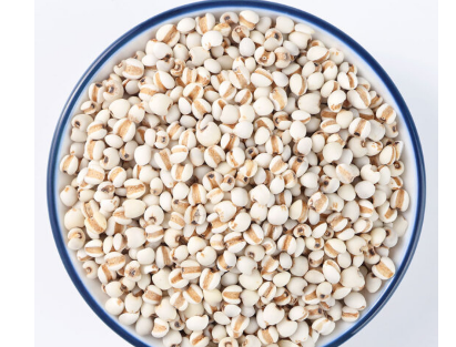 薏米可以怎么吃 薏米几种美白吃法介绍 薏米可以怎么吃 薏米几种美白吃法介绍