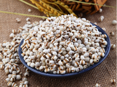 薏米可以怎么吃 薏米几种美白吃法介绍 薏米可以怎么吃 薏米几种美白吃法介绍