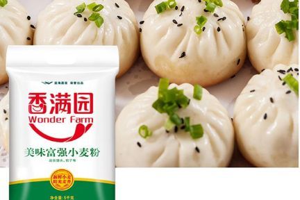 小麦粉和面粉的区别 小麦粉是低筋面粉吗-3