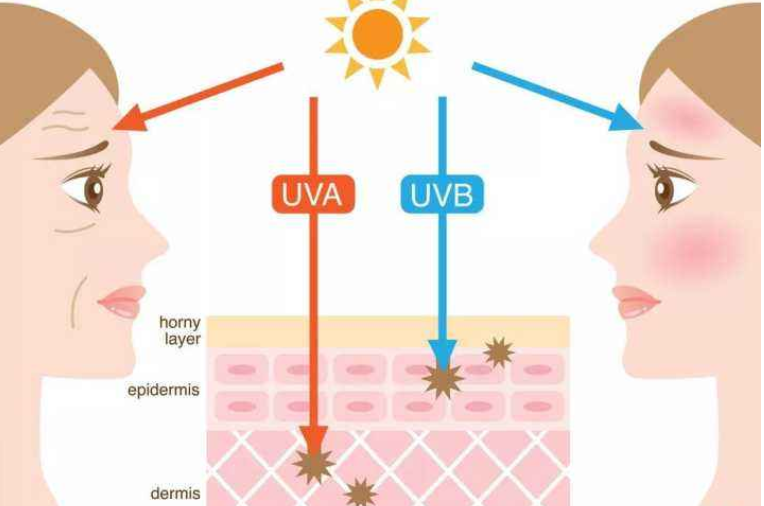 防晒霜和隔离霜有什么不同?防晒霜怎么用才正确 防晒霜和隔离霜有什么不同?防晒霜怎么用才正确