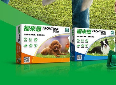 宠物狗驱虫秘籍 狗狗身上常见寄生虫及治疗