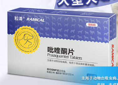 宠物狗驱虫秘籍 狗狗身上常见寄生虫及治疗