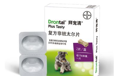 宠物狗驱虫秘籍 狗狗身上常见寄生虫及治疗-1