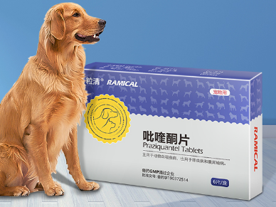 宠物狗驱虫秘籍 狗狗身上常见寄生虫及治疗
