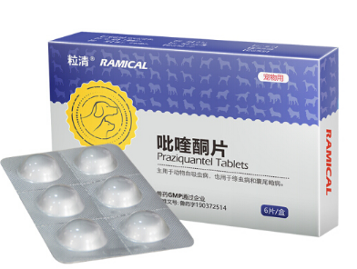 宠物狗驱虫秘籍 狗狗身上常见寄生虫及治疗