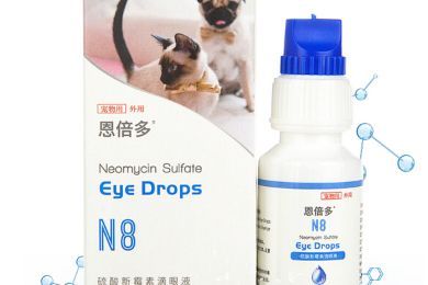 狗狗眼药水怎么选 教你给狗狗点眼药水的小技巧-1