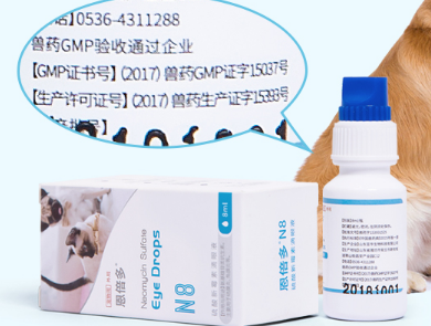 狗狗眼药水怎么选 教你给狗狗点眼药水的小技巧 狗狗眼药水怎么选 教你给狗狗点眼药水的小技巧