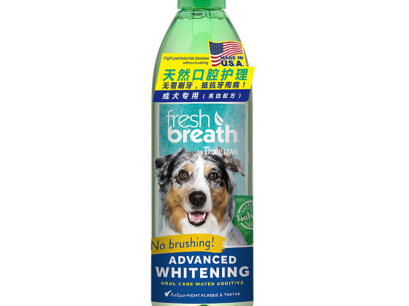 狗狗漱口水怎么选 狗狗漱口水的使用频率和量多少合适