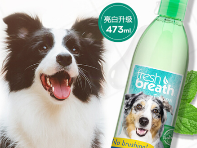 狗狗漱口水怎么选 狗狗漱口水的使用频率和量多少合适