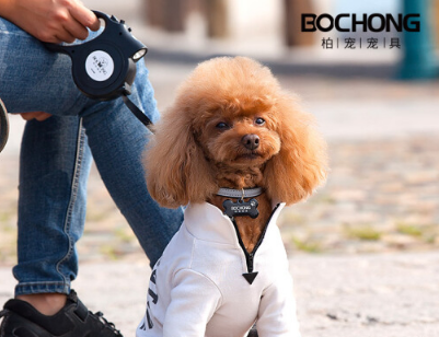 狗牵引绳怎么选 教你自制狗牵引绳 狗牵引绳怎么选 教你自制狗牵引绳