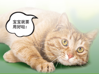 猫驱虫多久一次 猫驱虫药怎么选 猫驱虫多久一次 猫驱虫药怎么选