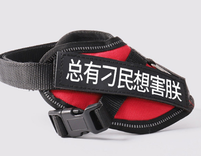 遛猫绳使用方法 教你自制遛猫绳 遛猫绳使用方法 教你自制遛猫绳