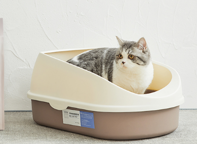 猫砂盆如何挑选 猫砂盆摆放哪里合适