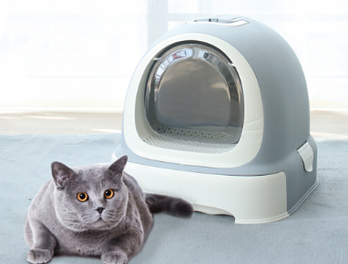 猫砂盆如何挑选 猫砂盆摆放哪里合适