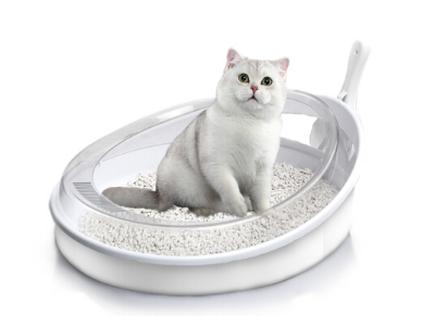 猫砂盆如何挑选 猫砂盆摆放哪里合适