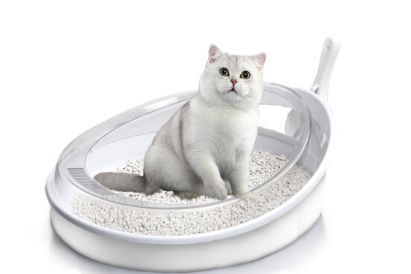 猫砂盆如何挑选 猫砂盆摆放哪里合适-3