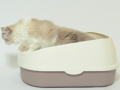 猫砂盆如何挑选 猫砂盆摆放哪里合适