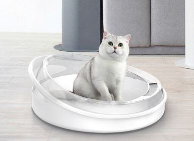 猫砂盆如何挑选 猫砂盆摆放哪里合适